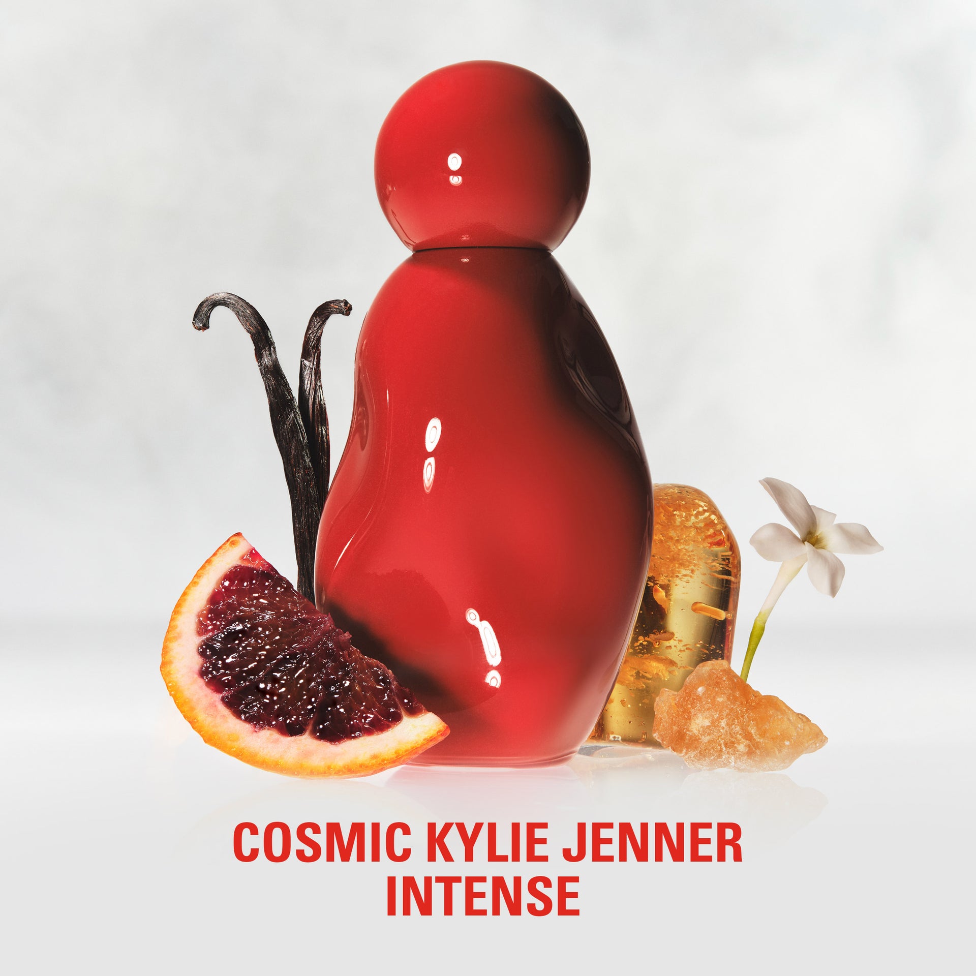 King Kylie Collection | Kylie Cosmetics by Kylie Jenner
