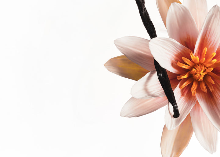 Vanilla Dew Hair & Body Mist